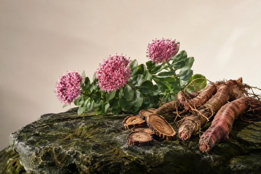 What Research Says About Rhodiola